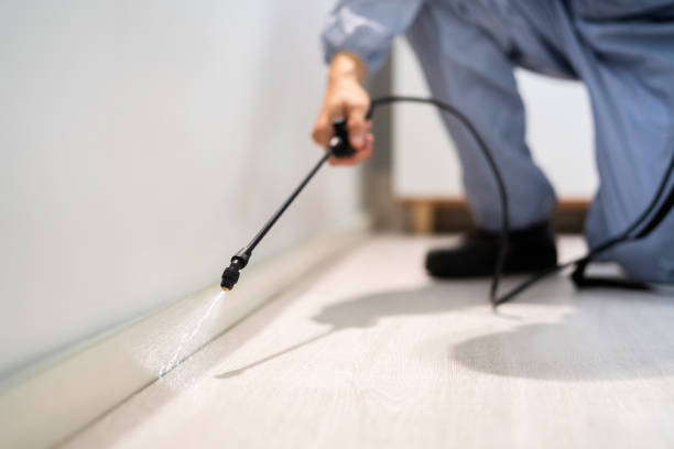 Licensed Cockroach Control service in Linden, AL - Nex Pest Control
