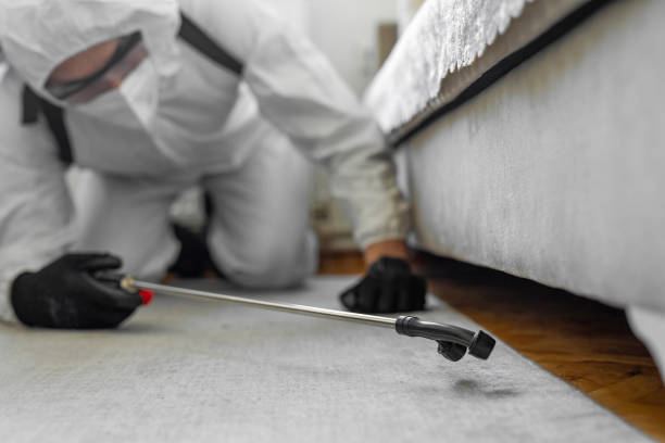 Professional Cockroach Control technician working in Linden, AL