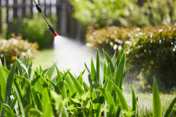 24/7 Emergency Cockroach Control experts in Linden, AL