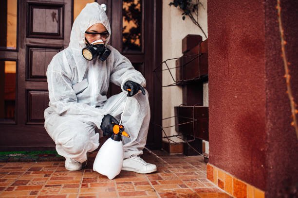 Reliable Cockroach Control contractor in Linden, AL by Nex Pest Control