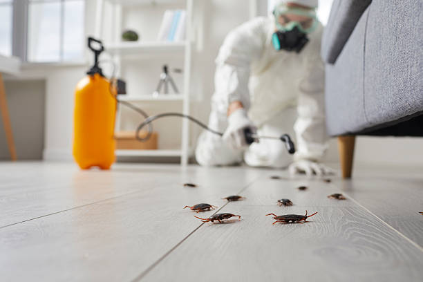 Affordable Cockroach Control solutions in Linden, AL