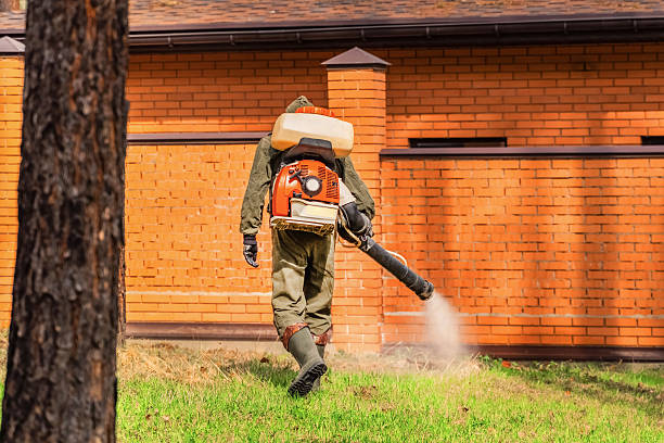 Top rated local Cockroach Control specialists in Linden, AL